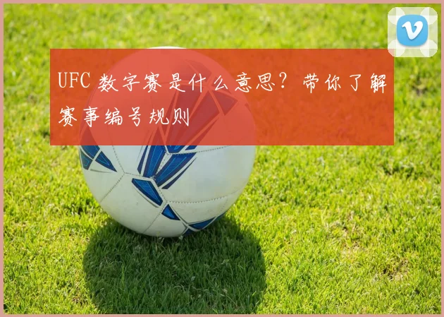 UFC 数字赛是什么意思？带你了解赛事编号规则
