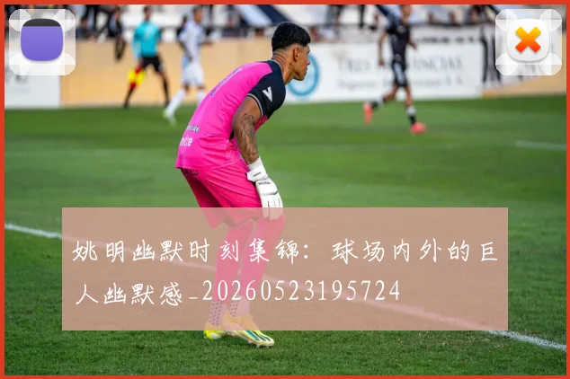 姚明幽默时刻集锦：球场内外的巨人幽默感_20260523195724